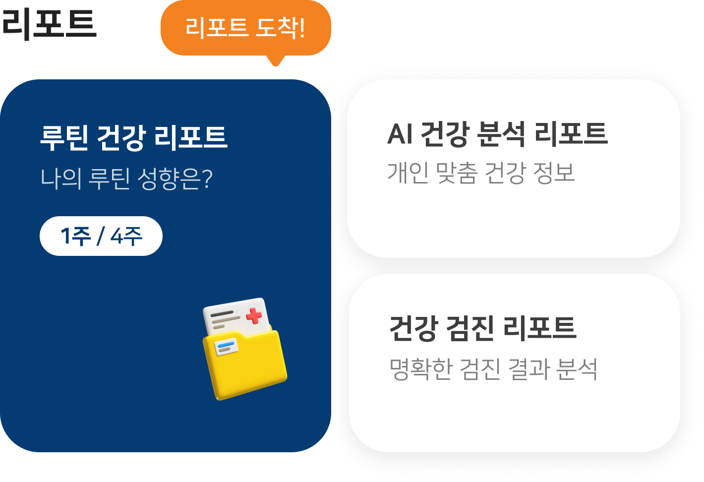 리포트 영역 이미지